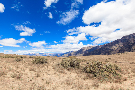 美丽的风景，阿雷基帕