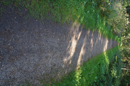 森林自然方式