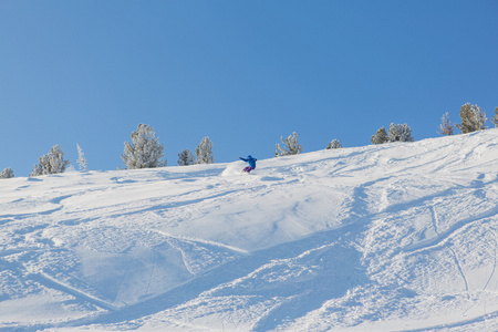 滑雪板骑马新鲜的雪