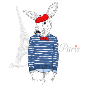 兔子在法国别致的风格图片