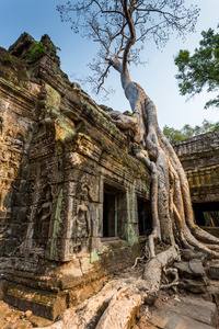 如诗如画的古代塔普伦寺