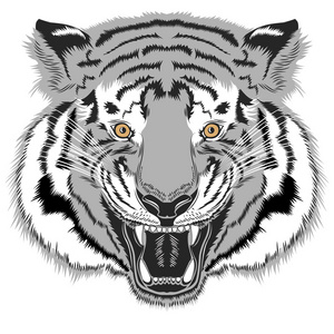 草绘的一只老虎的脸