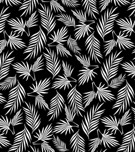 黑色和白色棕榈树叶图案