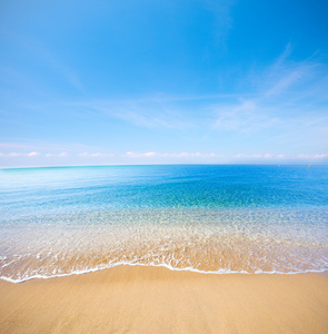 海滩和热带海