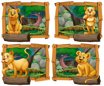 狮子在森林里的四个场景