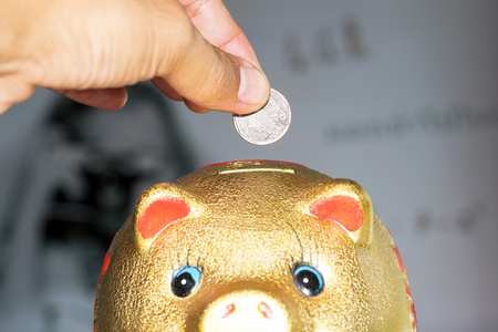 硬币成小猪猪