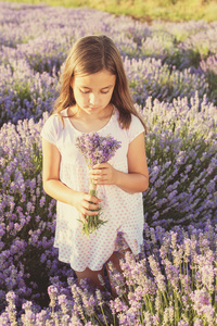 小女孩在一块薰衣草花田