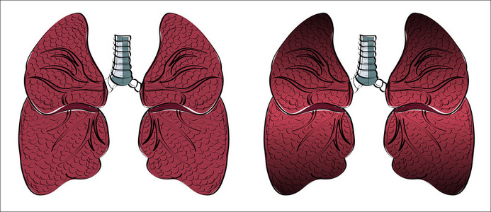 人体器官肺图标