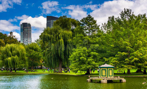 位于马萨诸塞州波士顿的公共花园和建筑物中的池塘