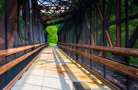宾夕法尼亚州莱海峡谷州立公园的铁路和人行天桥。