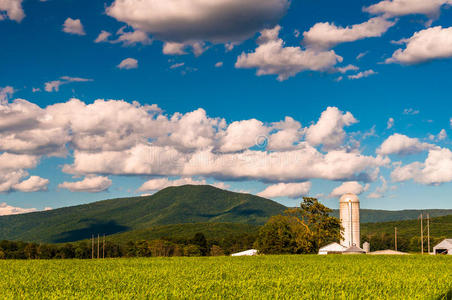 维吉尼亚州谢兰多亚山谷的谷仓和蓝色山脊的景色。