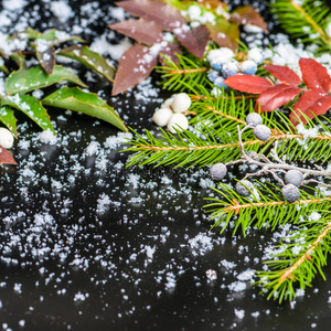 圣诞贺卡上的常绿树枝，红浆果带着雪，密密麻麻