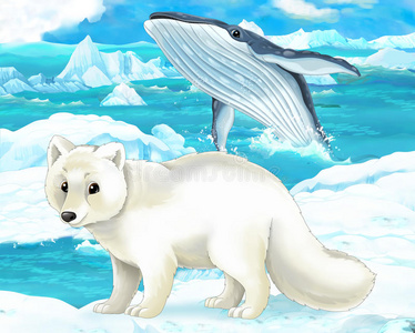 卡通场景北极动物北极狐和鲸鱼