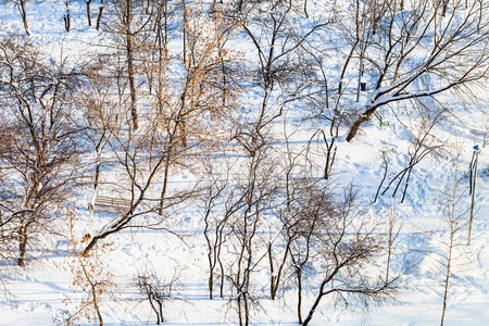 城市花园被雪覆盖的高处景色图片