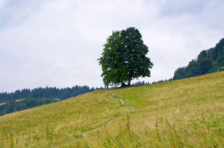 在 Pieniny 山农村