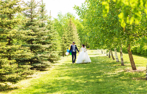 新娘和新郎在婚礼当天到户外散步在春天性质。新婚夫妇，祝新婚快乐女人和男人拥抱绿色的公园里。爱婚礼情侣户外