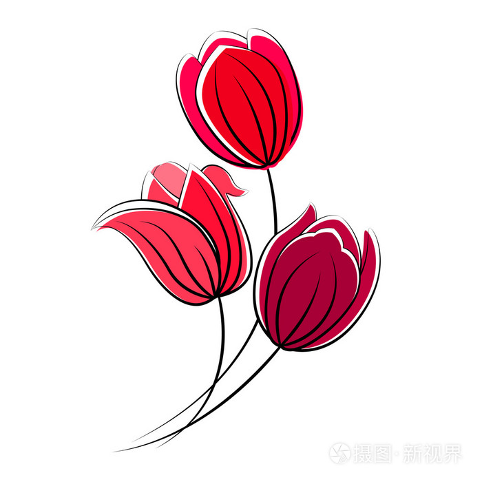 白色背景上分离的程式化红色郁金香