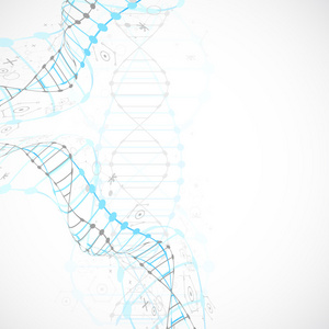 科学模板横幅