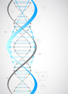 科学模板或横幅