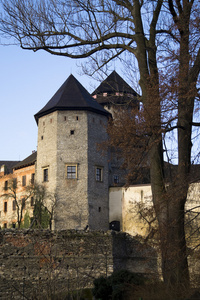 城堡索维涅克在秋天的季节观两塔