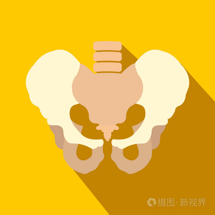 人类的骨盆平图标与阴影