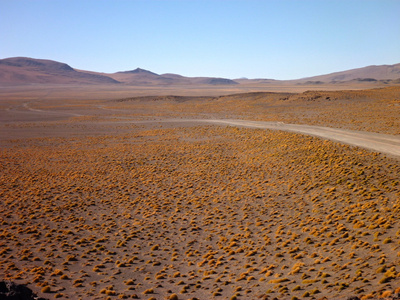 玻利维亚高原沙漠莱昂内斯科罗拉多