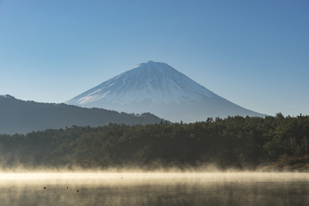 从西湖湖富士山视图。日本山梨县