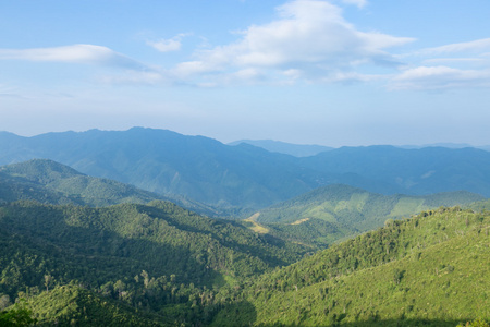 天空 森林和山