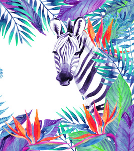 热带丛林卡。与斑马白色背景上的花艺设计