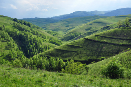 山中的春天风景