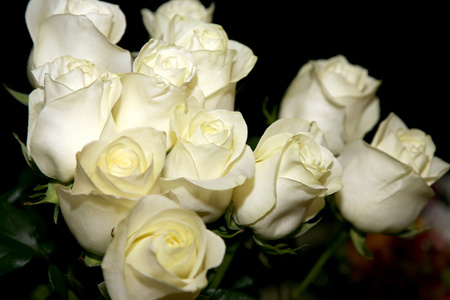 一大束白玫瑰