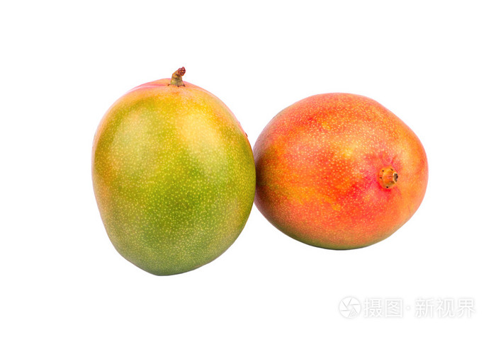 两个芒果果实