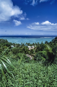 斐济群岛维提岛, 太平洋热带植被和珊瑚礁景观电影扫描