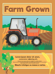 农场有机食品海报
