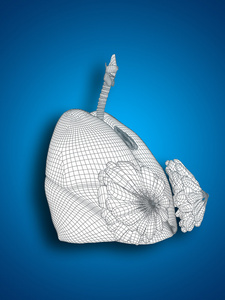 网格呼吸系统图片