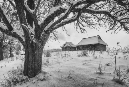 乌克兰的木结构房屋在白雪皑皑的山上。黑色和白色