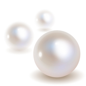 3 珍珠矢量在白色背景上