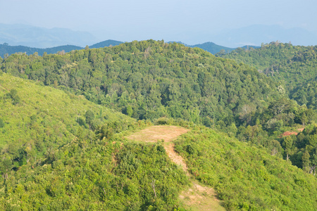 天空 森林和山