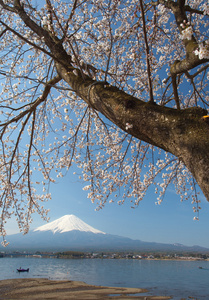 富士山景