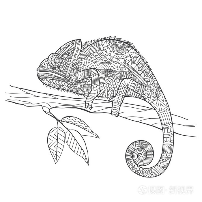 zentangle 程式化变色龙蜥蜴.手绘制的矢量说明