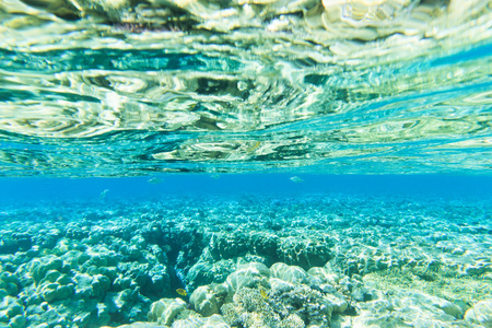 宁静的水下场景