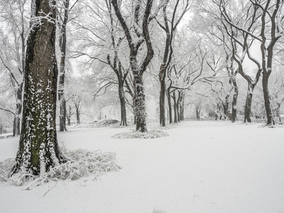 纽约中央公园，市雪风暴