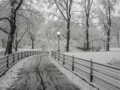 纽约中央公园，市雪风暴