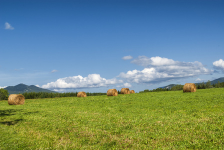 米迪比利牛斯山脉的乡村景观法国