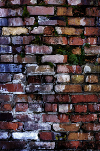 老纹理墙与彩色的砖块