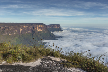 从罗赖马 tepui 上 Kukenan tepui 看雾Venez