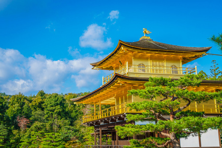 在京都的金阁寺