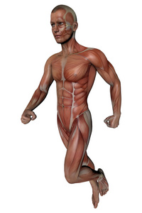 健身男人身体图片