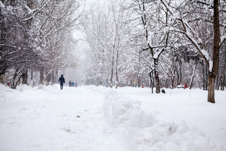 下雪在公园里的景观与路过的人