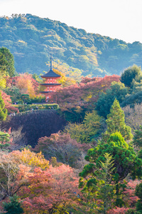 金秋时节清水德拉寺